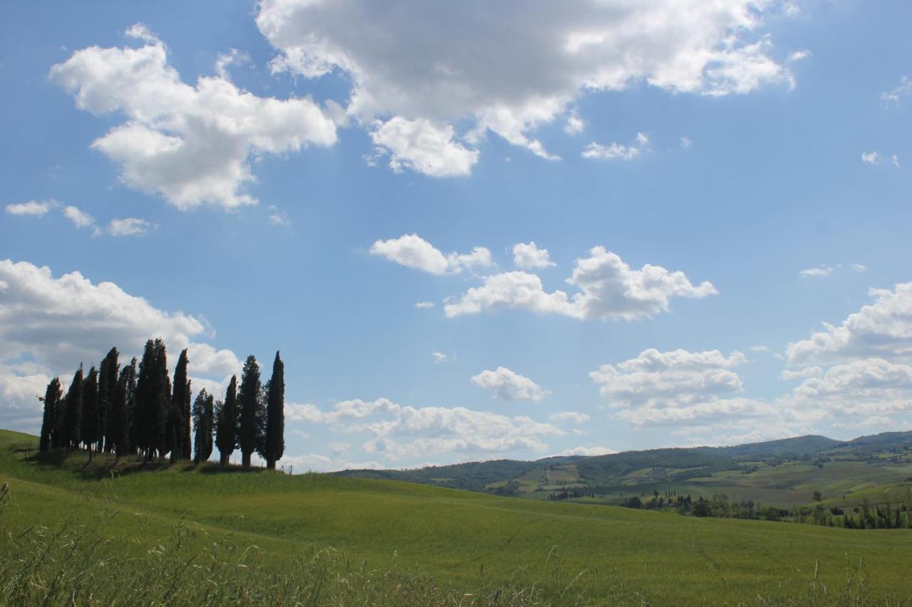 La Casina Di Nonna Lola Castiglione dʼOrcia Exterior foto